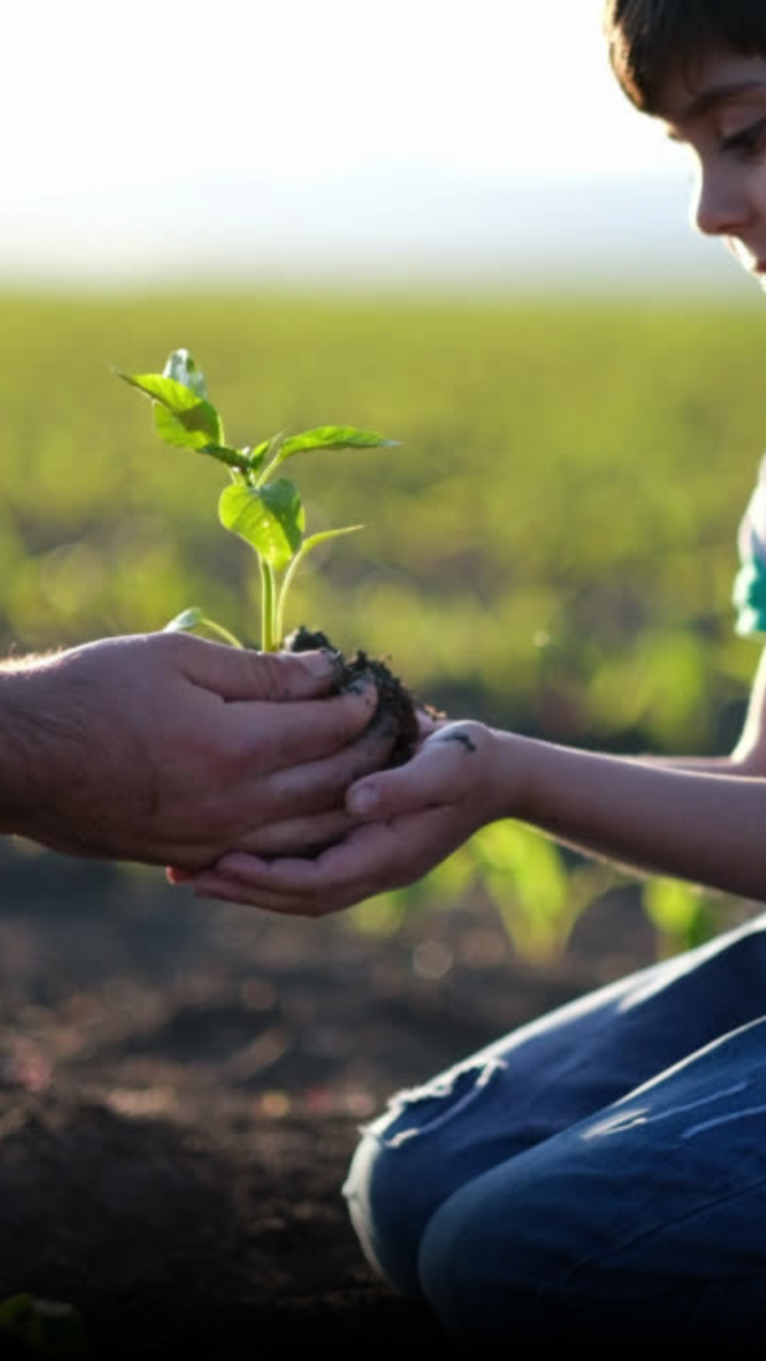 Eco-Friendly Developments and Shifts